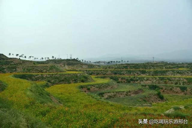 邢台旅游攻略丨抱香谷才是四海八荒真正的梯田花海秘境