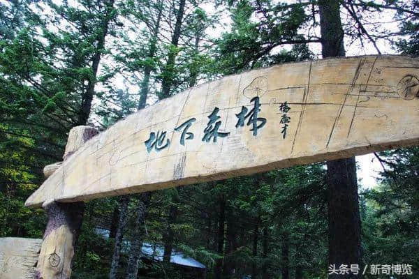 史上最细最全长白山旅游攻略来袭！拿走不谢！建议收藏！