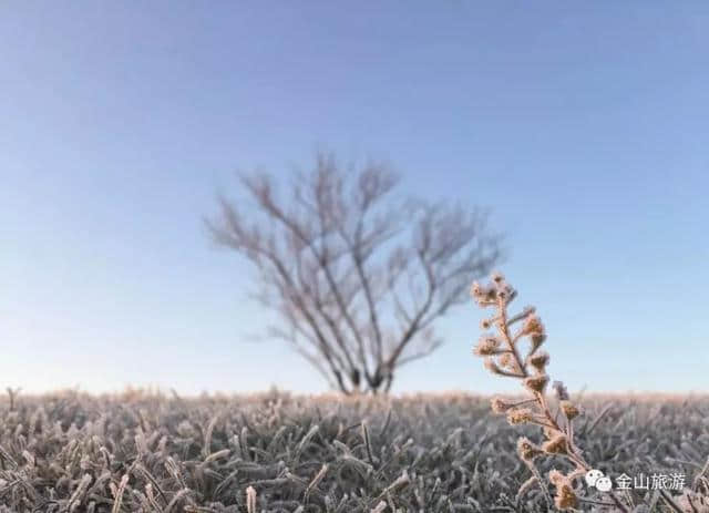 去处‖你不知道的当季赏日出美景，就在金山，虽然冷却值得