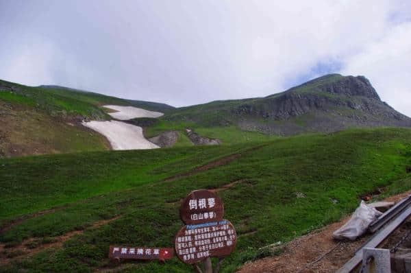 自驾游长白山攻略大全---西坡全域介绍（池西区）