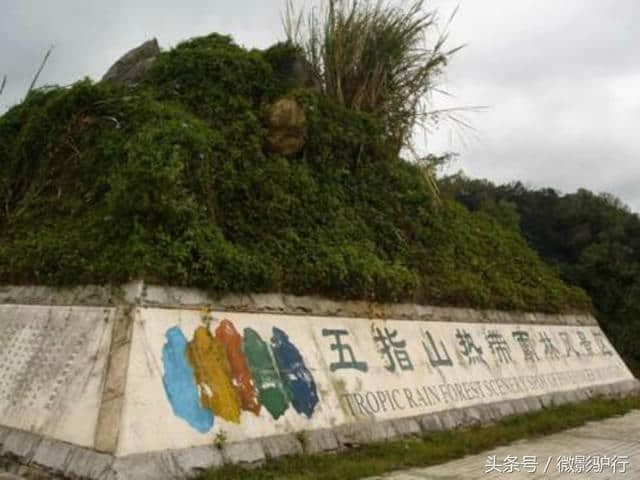 中国名山海南第一高山旅游攻略，玩转海南热带雨林