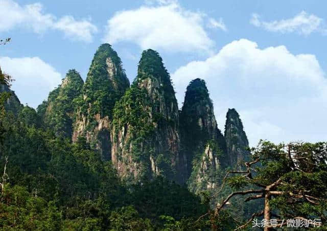 中国名山海南第一高山旅游攻略，玩转海南热带雨林