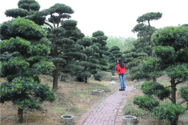 海宁在全省率先发布研学旅行专项规划 “研学游”五大基地三条环线出炉