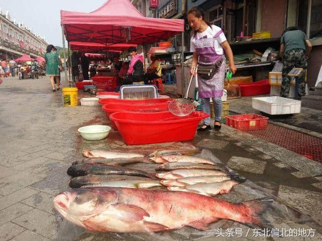 乌苏里江（黑瞎子岛）兴凯湖美丽的风光