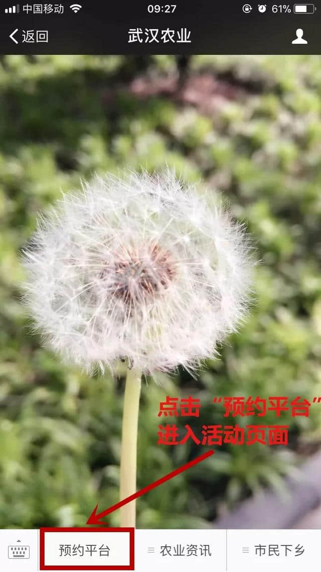 敲黑板划重点/50万张旅游券第二批今天开始预约啦，避暑好去处等你来！