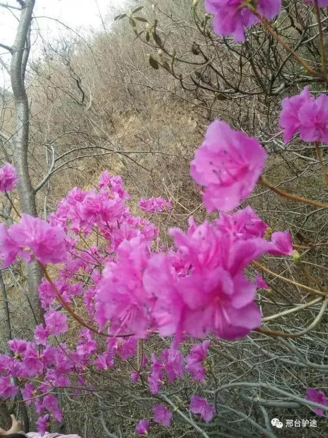 邢台蝎子沟风景区，一年四季的醉人风光！