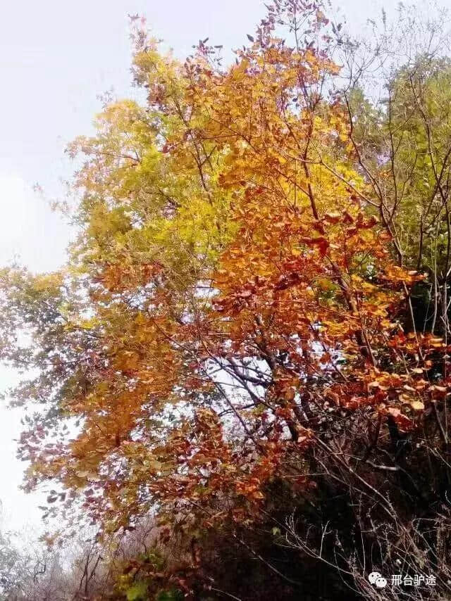 邢台蝎子沟风景区，一年四季的醉人风光！