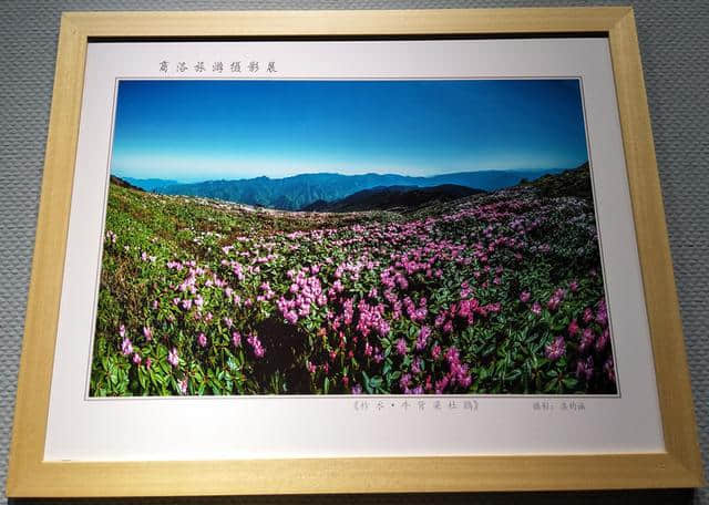 “秦岭最美是商洛”大型旅游摄影展开展 180幅作品扮靓西安