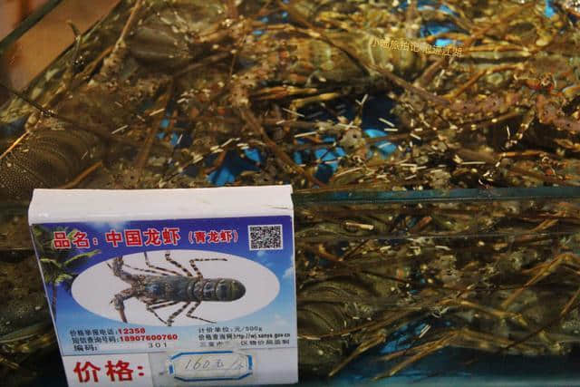 说海南海鲜贵？100块钱可以吃到啥？大家快来看