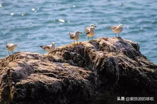 比普吉岛人少，比马代便宜，这些国内海岛夏天去最合适！