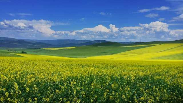 中国最美的五大草原景区，这个夏季最适合旅游！