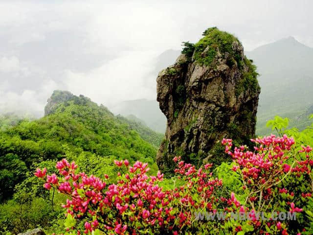 河南信阳免费和收费景点价格大全！拿走，不谢！