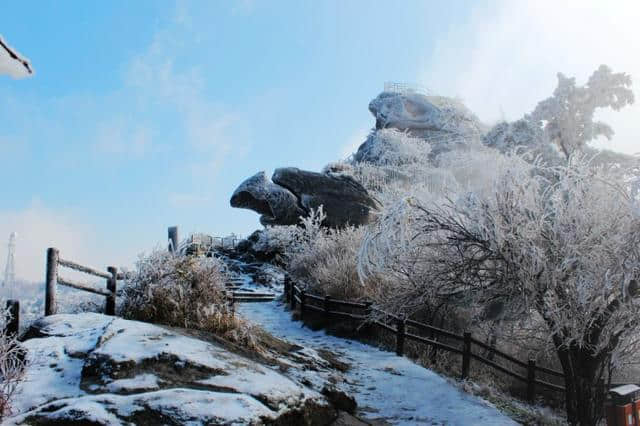 河南信阳免费和收费景点价格大全！拿走，不谢！