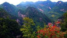 秦岭最美是商洛之商洛六县一区旅游景点！