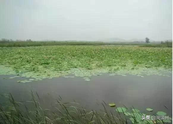 山东旅游50大景点介绍，作为山东人是必备的！