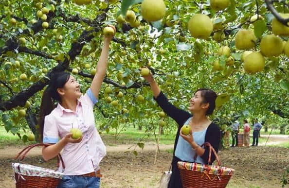 陕西乡村旅游十百千品牌推荐之一十大乡村旅游线路