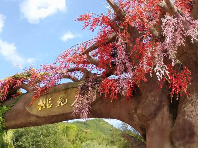 商洛丹凤：美丽乡村桃花谷大变旅游景点