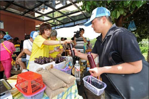 麻江县首届乡村旅游节暨蓝莓文化节“嗨”起来了