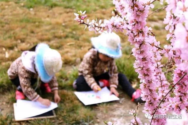 「微头条」鸟语花香幸福城