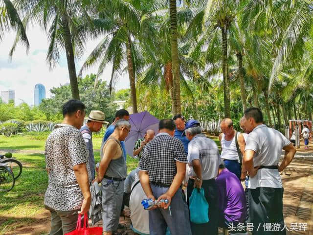 海口龙华乡村旅游景点推荐，总有你没去过的！