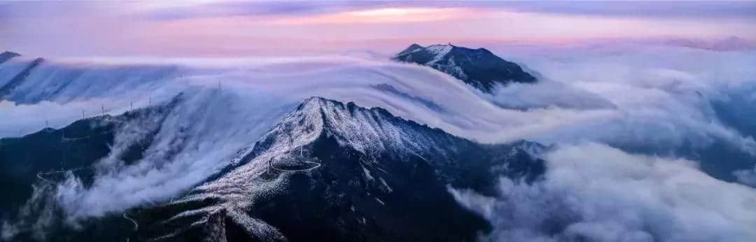 不服来辩!信阳最美森林旅游地全齐了,这些你都去过吗?