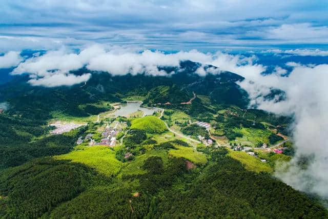 不服来辩!信阳最美森林旅游地全齐了,这些你都去过吗?