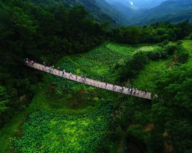 不服来辩!信阳最美森林旅游地全齐了,这些你都去过吗?