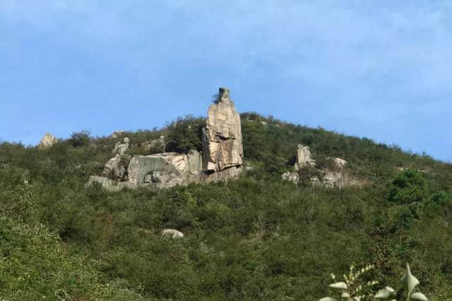 不服来辩!信阳最美森林旅游地全齐了,这些你都去过吗?