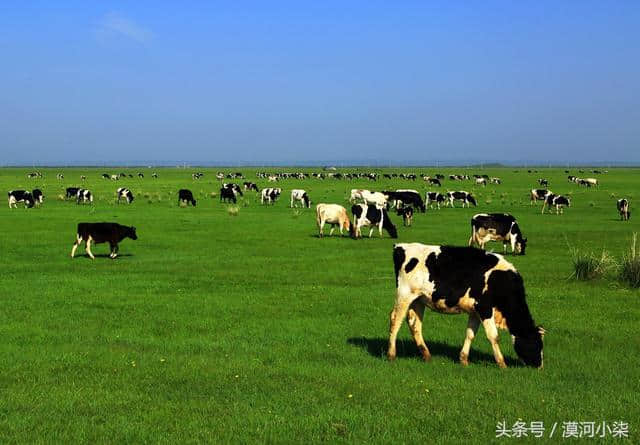 漠河-额尔古纳-满洲里-海拉尔-呼伦贝尔大草原7天自由行线路攻略