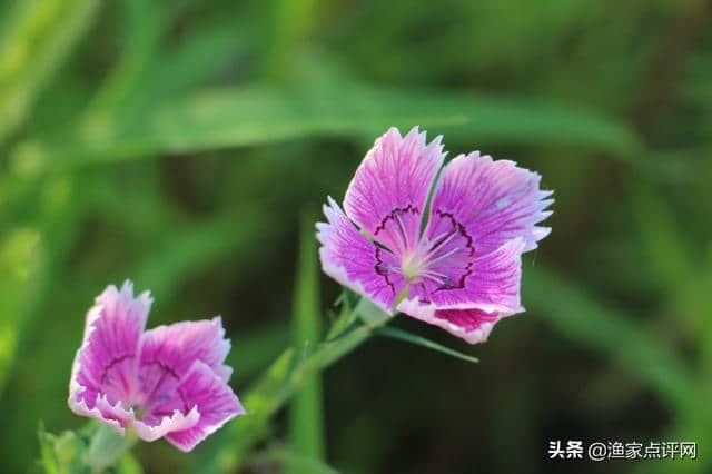 毕业礼，我到哈仙岛告别青春的季节