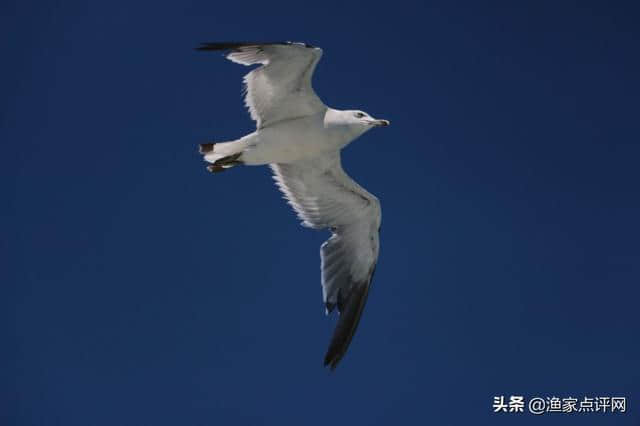 毕业礼，我到哈仙岛告别青春的季节