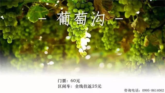 新疆热门景区门票最新价格