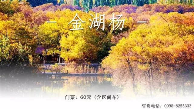 新疆热门景区门票最新价格