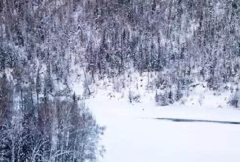 冬季最美的风景，就是去喀纳斯的路