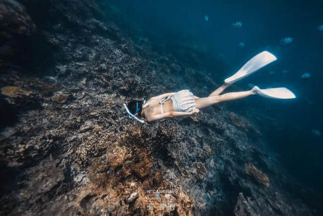 迟到的毕业旅行之帕劳小小攻略