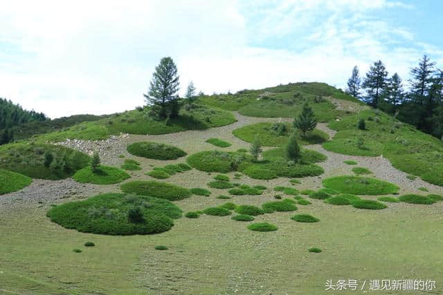 从哈密到巴里坤草原，一路都是醉美的风景