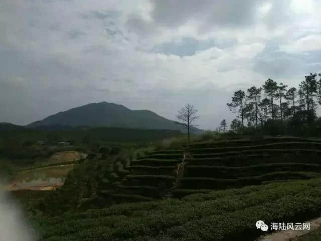 汕尾旅游——海丰莲花山之云莲寺