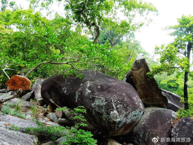 收好这份海南岛环岛高铁旅游攻略