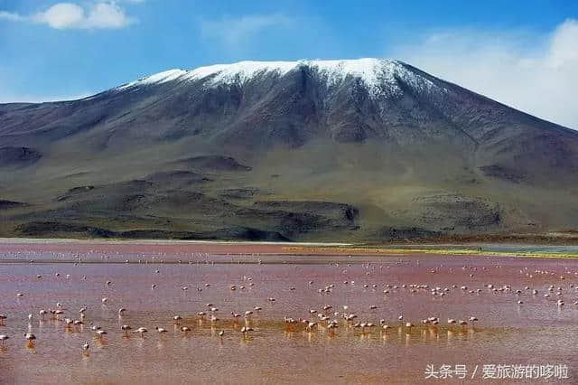 这可能是地球上最美的攻略：玻利维亚“天空之镜”美到让人心颤！