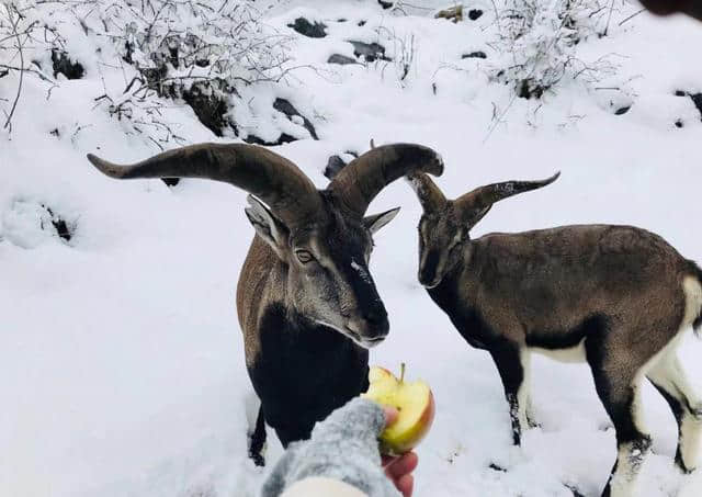 带你玩转“南方雪国”——毕棚沟