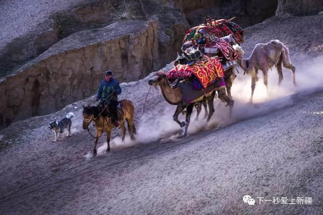 一组图带你看尽新疆春夏秋冬的美景