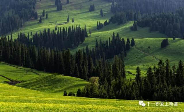 一组图带你看尽新疆春夏秋冬的美景