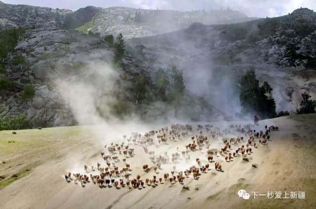 一组图带你看尽新疆春夏秋冬的美景