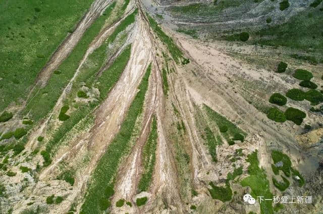 一组图带你看尽新疆春夏秋冬的美景