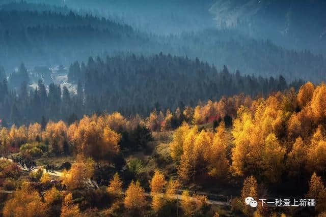 一组图带你看尽新疆春夏秋冬的美景