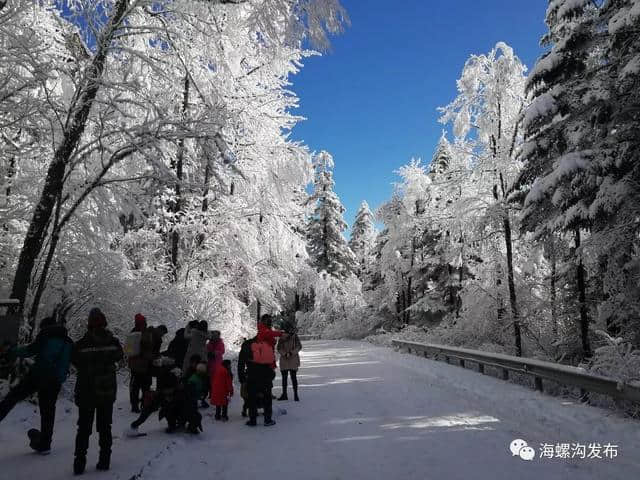 旅游！元旦小长假：海螺沟亲子游、自驾游火热