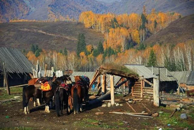 新疆的这些景点什么时候去最好