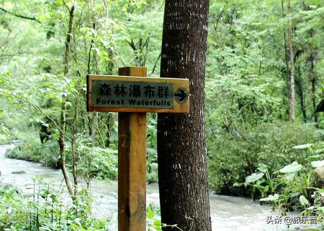 象鼻山是桂林的城徽，但象山公园却没有本地人喜欢去？