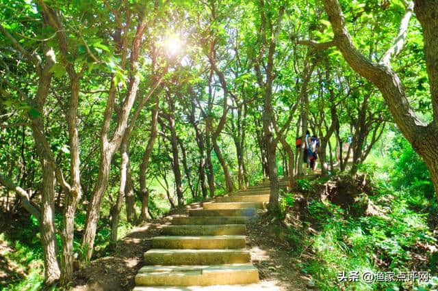 夏天最适合百姓去的海岛旅游，这座小岛绝对不容错过