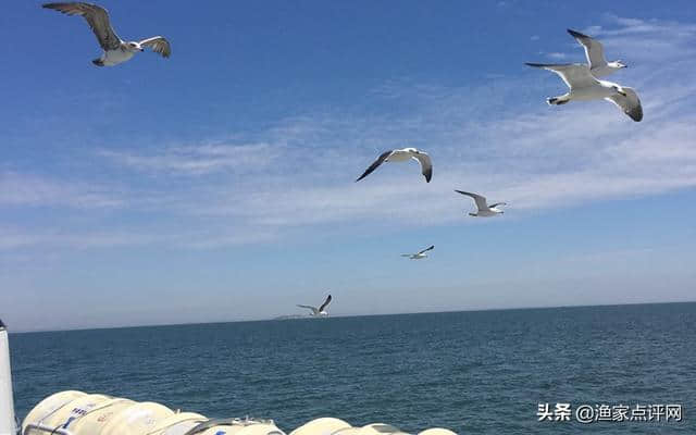 夏天最适合百姓去的海岛旅游，这座小岛绝对不容错过